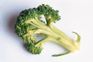 The-Stages-Of-Dieting-How-To-Lose-Weight-&-Keep-Getting-Healthier-broccoli