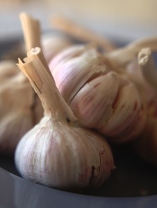 how-to-sick-proof-your-body-stay-healthy-Garlic